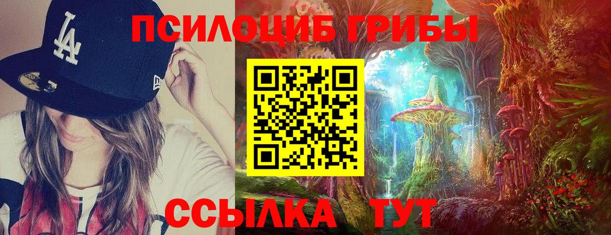 наркотики  Вход с VPN  Сафоново  Псилоцибиновые грибы мухоморы 